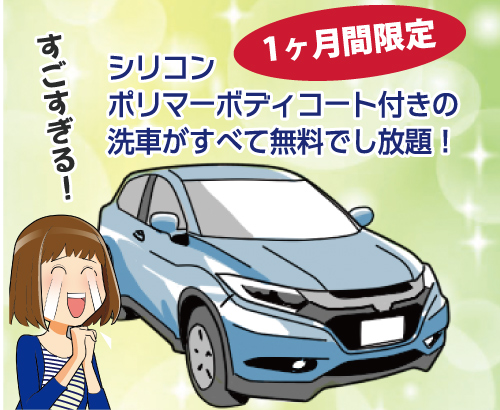 【1ヶ月限定】洗車が全て無料でし放題