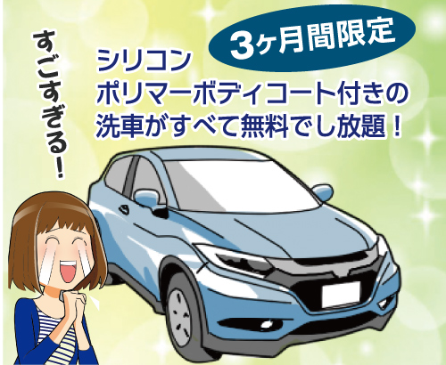 【3ヶ月限定】洗車が全て無料でし放題