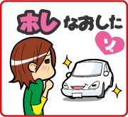 シャンプー洗車
