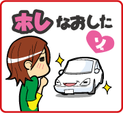 シャンプー洗車