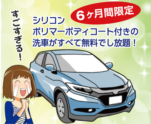 【6ヶ月限定】洗車が全て無料でし放題